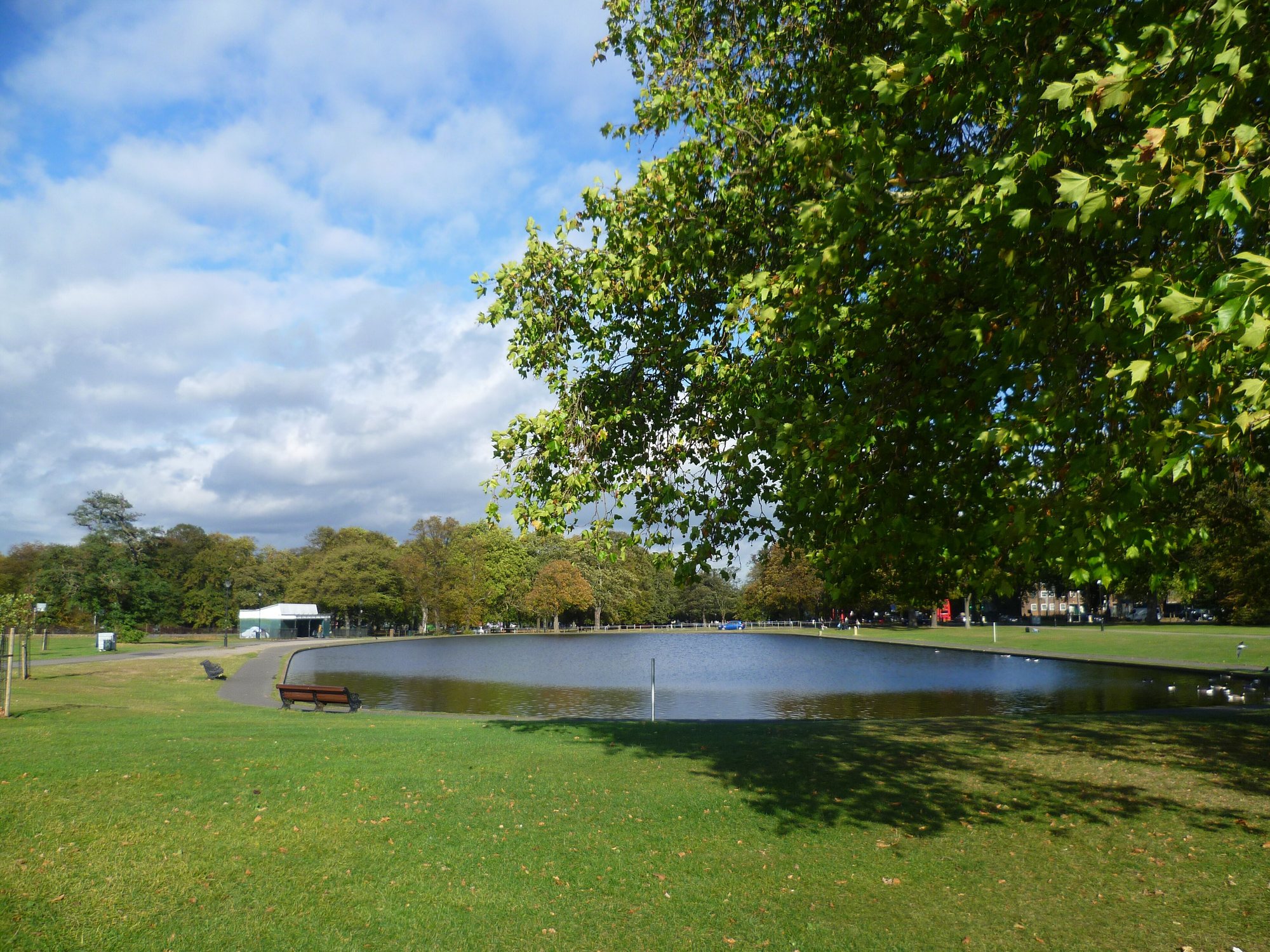 Running on Clapham Common