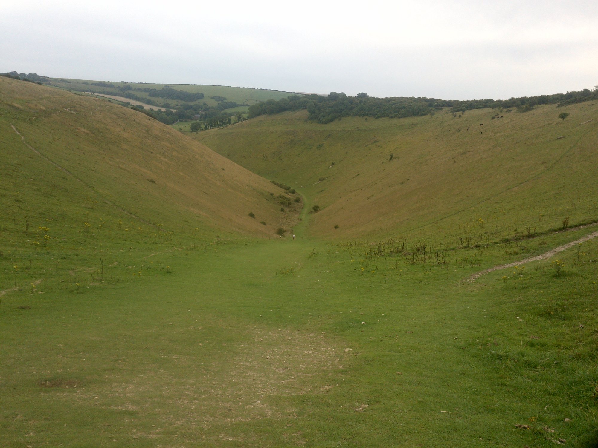 South Downs Walks From Brighton by Bus