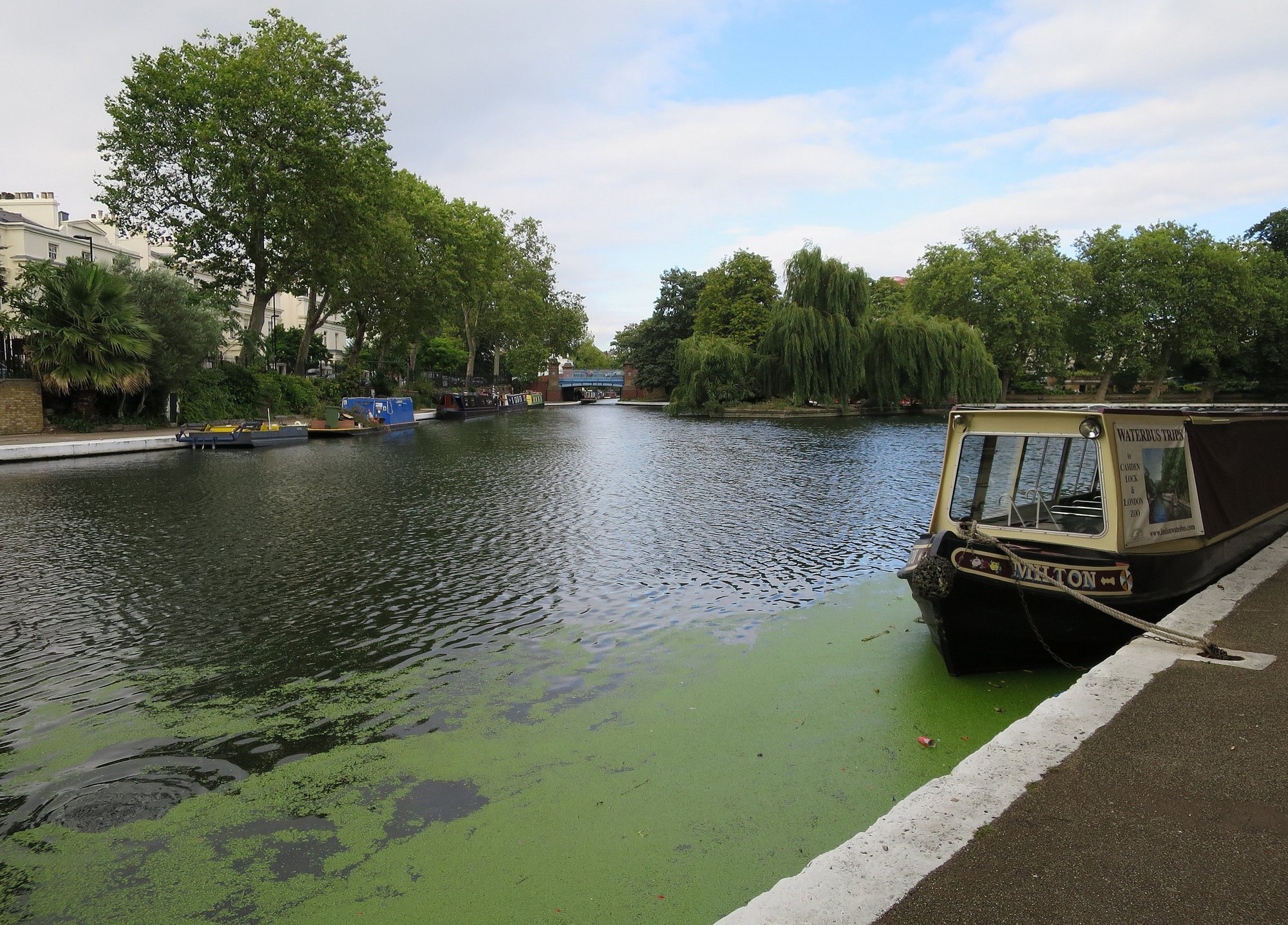 Regent’s Canal walk: Camden Lock to Little Venice