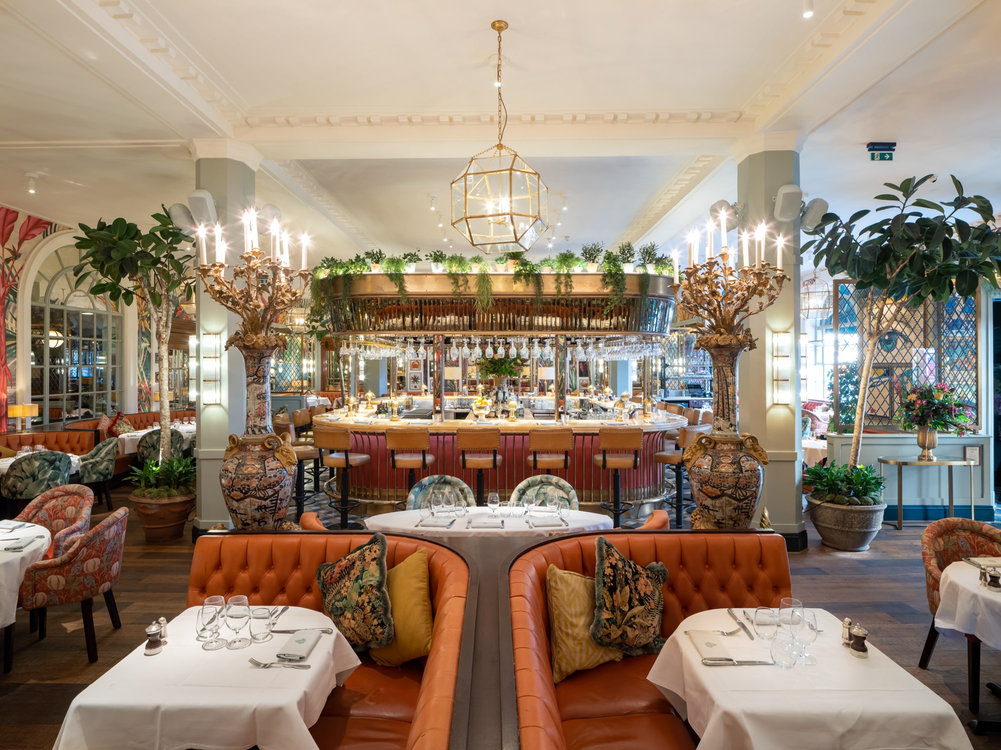 The Ivy in the Lanes