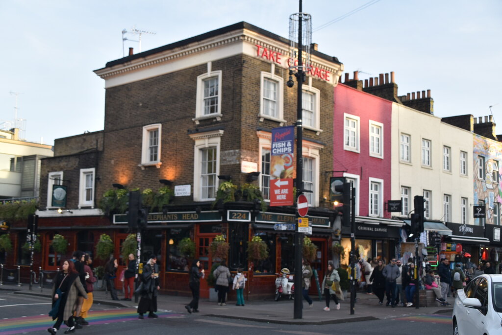 The Elephant's Head